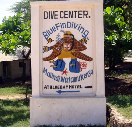 Blue-Fin Diving Centre